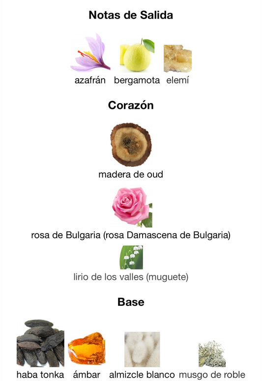 Amber Oud Dubai Night 2.54oz