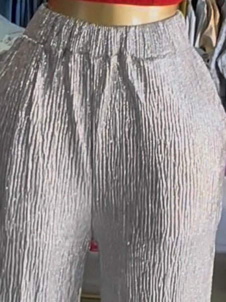 Pantalón Brillante Plateado
